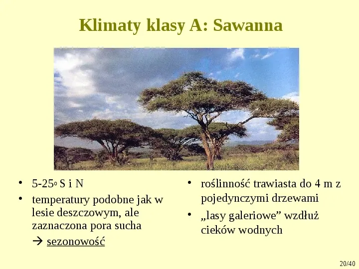 Klimat, biomy, gleby - Slide 20