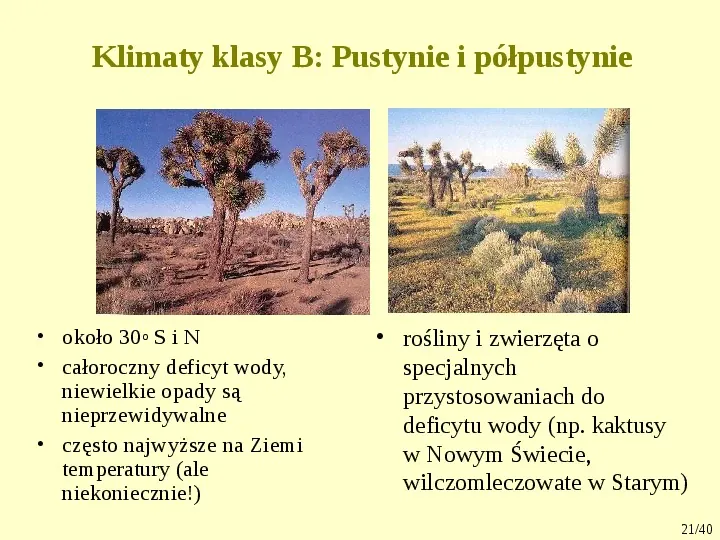 Klimat, biomy, gleby - Slide 21