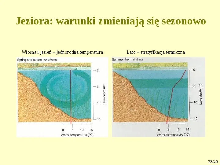 Klimat, biomy, gleby - Slide 28