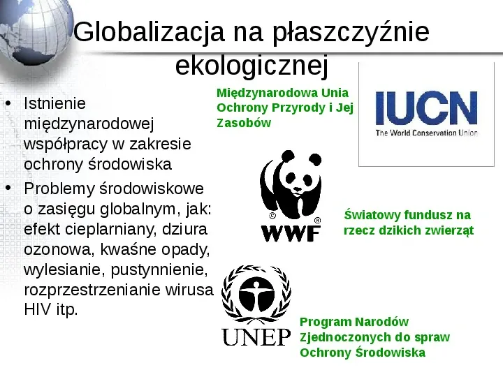 Rola korporacji międzynarodowych - Slide 19