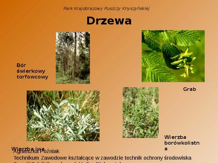 Park Krajobrazowy Puszczy Knyszyńskiej - Slide 10
