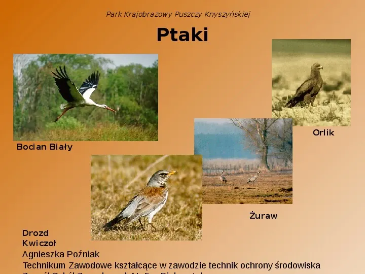 Park Krajobrazowy Puszczy Knyszyńskiej - Slide 6