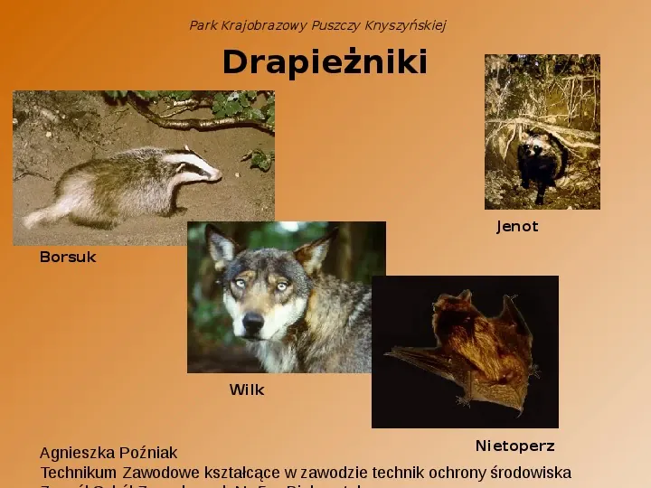Park Krajobrazowy Puszczy Knyszyńskiej - Slide 8
