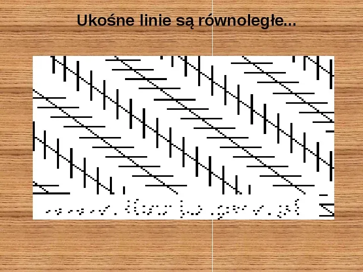 Iluzje i złudzenia optyczne - Slide 16