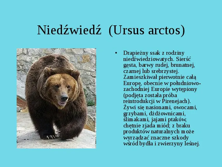 Tatrzański Park Narodowy - Slide 22
