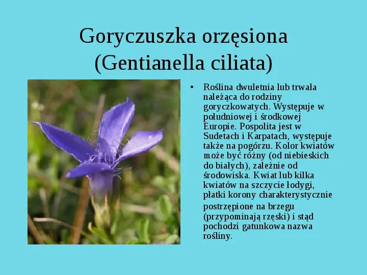 Tatrzański Park Narodowy - Slide 9