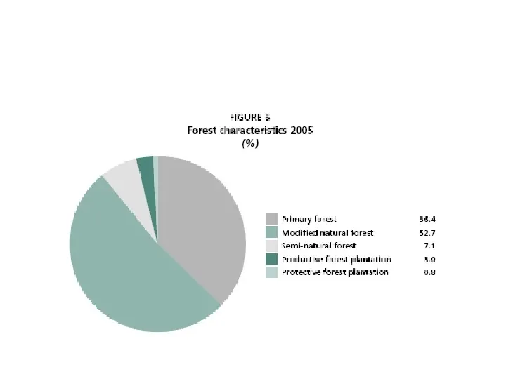 Funkcje i rola lasów - Slide 14