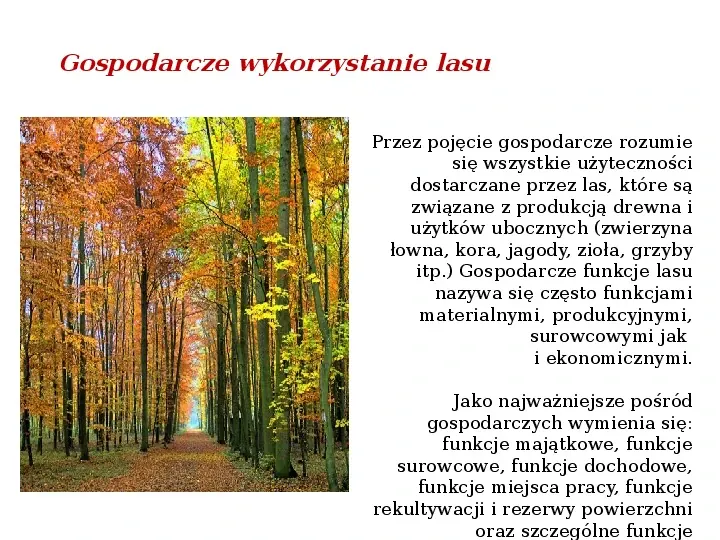 Funkcje i rola lasów - Slide 4