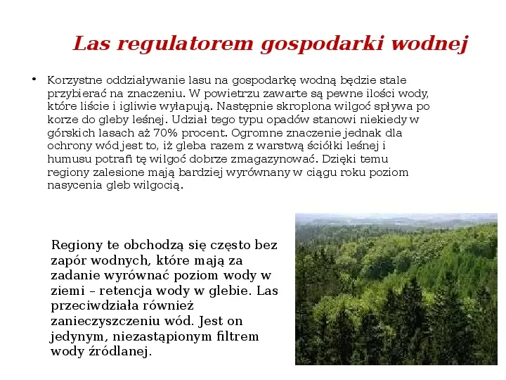 Funkcje i rola lasów - Slide 5