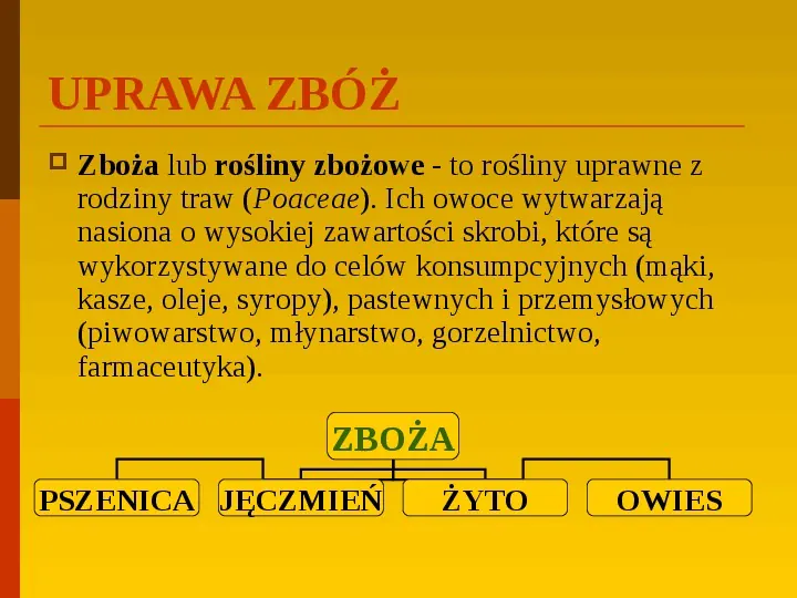 Co uprawiają i hodują ludzie w Polsce? - Slide 15