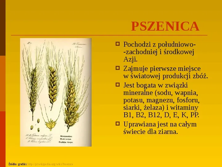 Co uprawiają i hodują ludzie w Polsce? - Slide 16