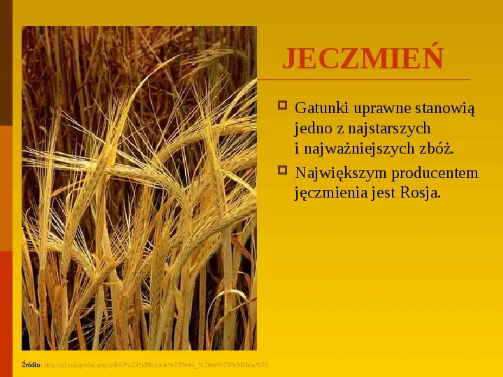 Co uprawiają i hodują ludzie w Polsce? - Slide 17
