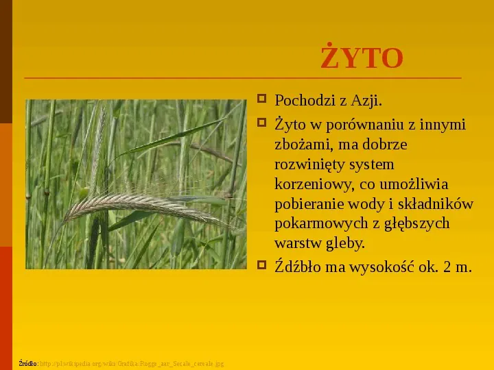 Co uprawiają i hodują ludzie w Polsce? - Slide 18