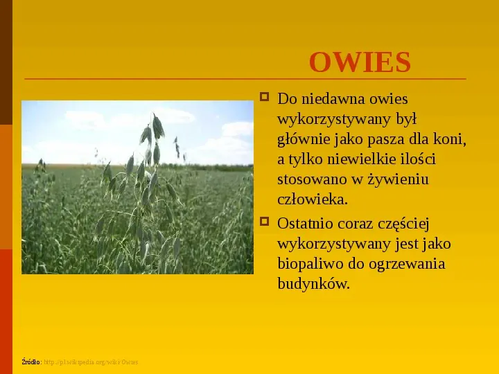 Co uprawiają i hodują ludzie w Polsce? - Slide 19