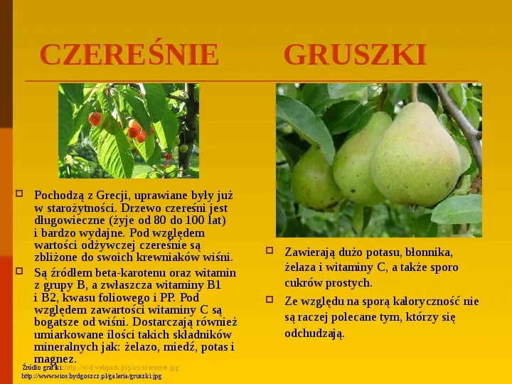Co uprawiają i hodują ludzie w Polsce? - Slide 35