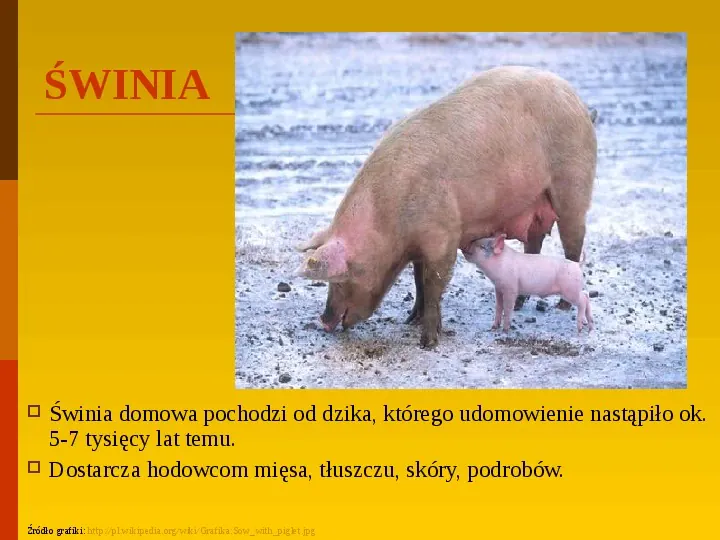 Co uprawiają i hodują ludzie w Polsce? - Slide 5
