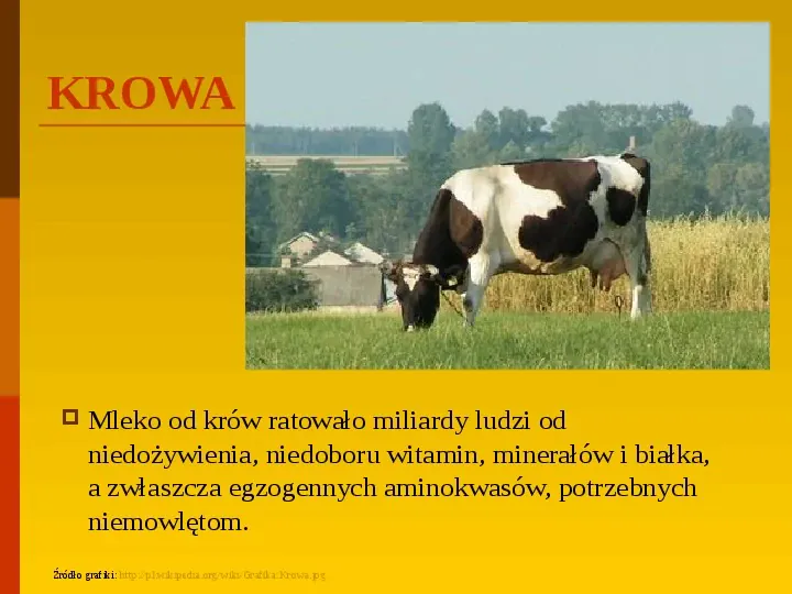 Co uprawiają i hodują ludzie w Polsce? - Slide 6