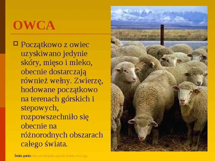 Co uprawiają i hodują ludzie w Polsce? - Slide 8