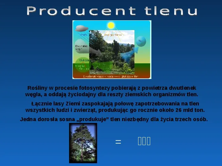 Las - zielone płuca ziemi - Slide 4