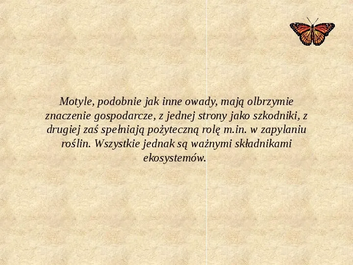 Motyle Polski - Slide 14