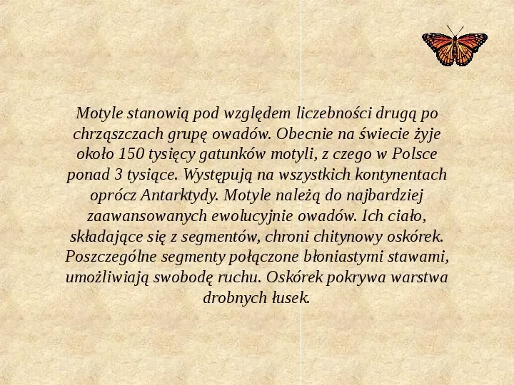 Motyle Polski - Slide 2