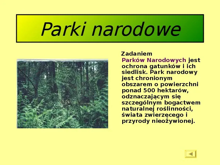 Parki narodowe - Slide 11