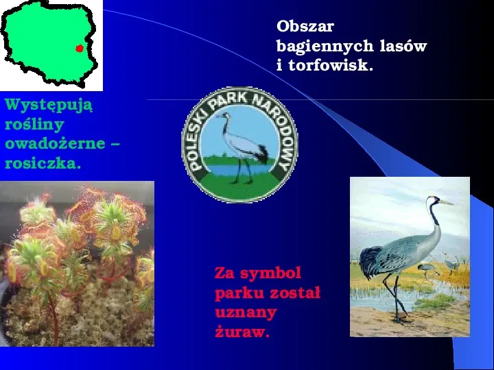 Parki narodowe w Polsce - Slide 11