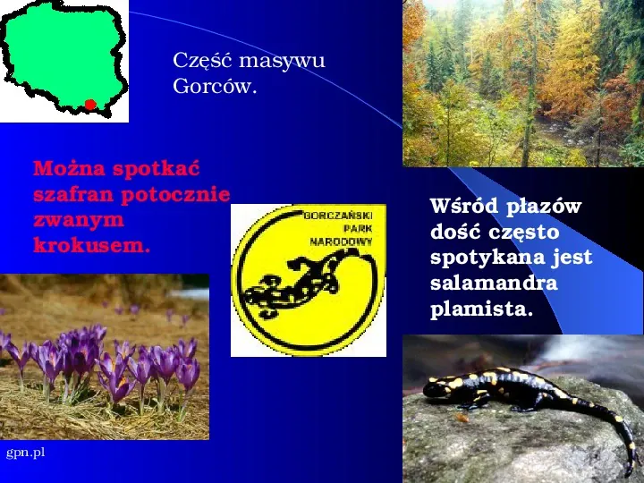 Parki narodowe w Polsce - Slide 24