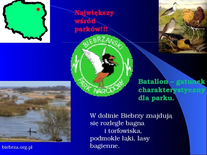 Parki narodowe w Polsce - Slide 9