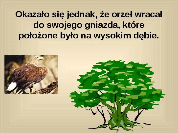 Polskie legendy - Slide 11