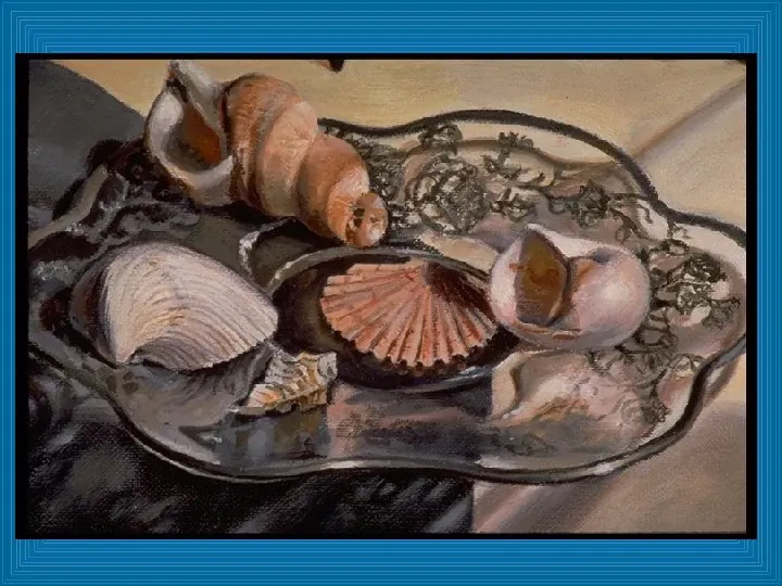 Poznajmy mięczaki - Świat ślimaków - Slide 64