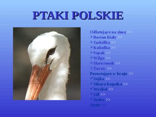 Ptaki polskie - Slide pierwszy