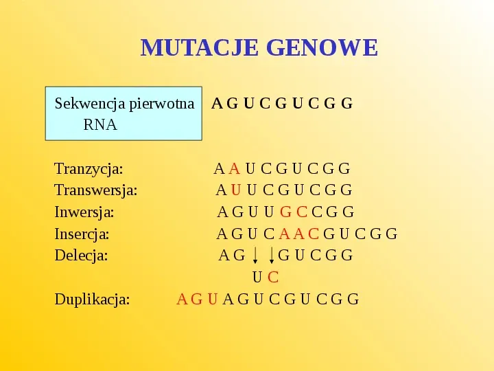 Rodzaje mutacji i ich wpływ na genotyp - Slide 6