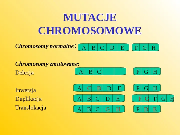 Rodzaje mutacji i ich wpływ na genotyp - Slide 8