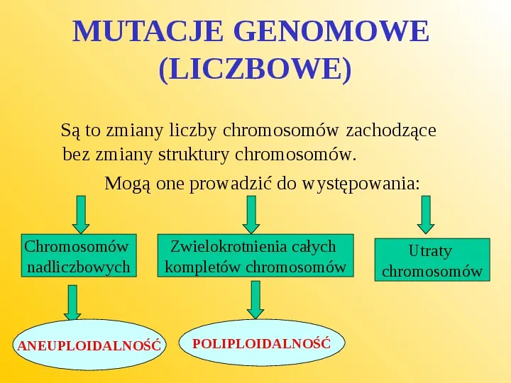 Rodzaje mutacji i ich wpływ na genotyp - Slide 9