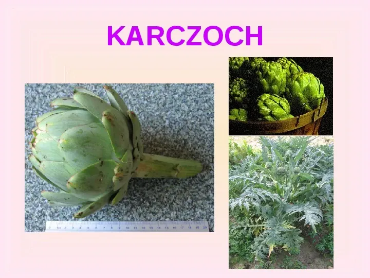 Warzywa uprawiane w ogrodach - Slide 22
