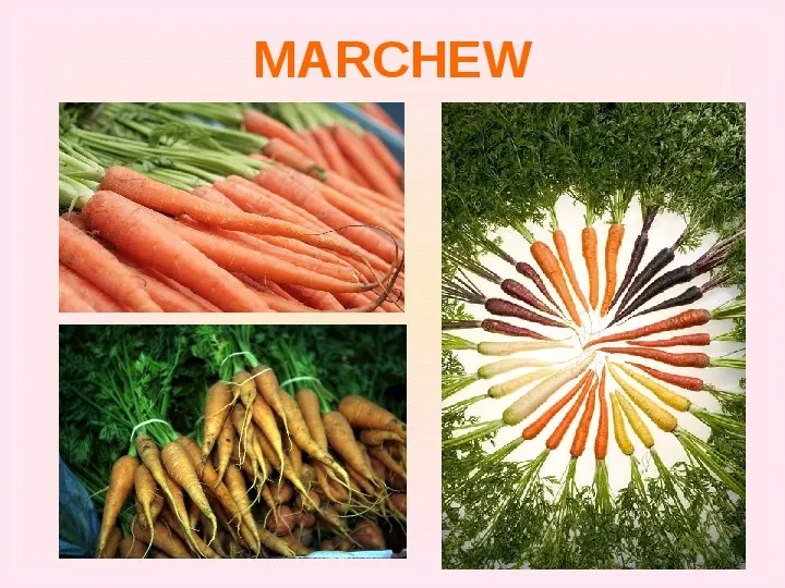 Warzywa uprawiane w ogrodach - Slide 4