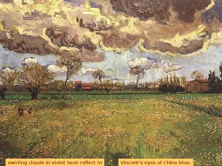 VincentVan-Gogh - Slide 11