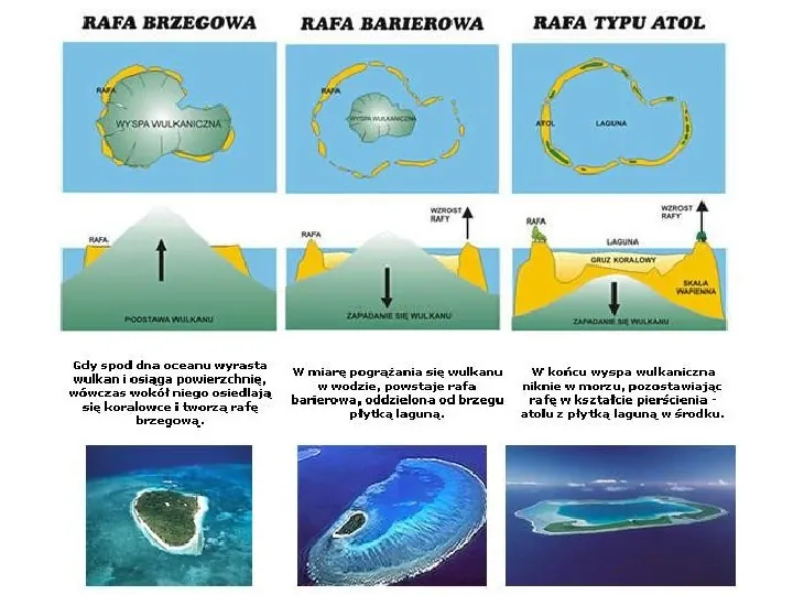Rafy koralowe - Slide 5