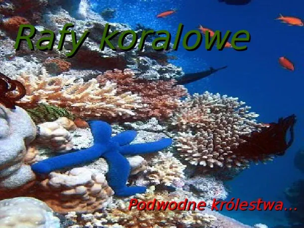 Rafy koralowe - Slide pierwszy