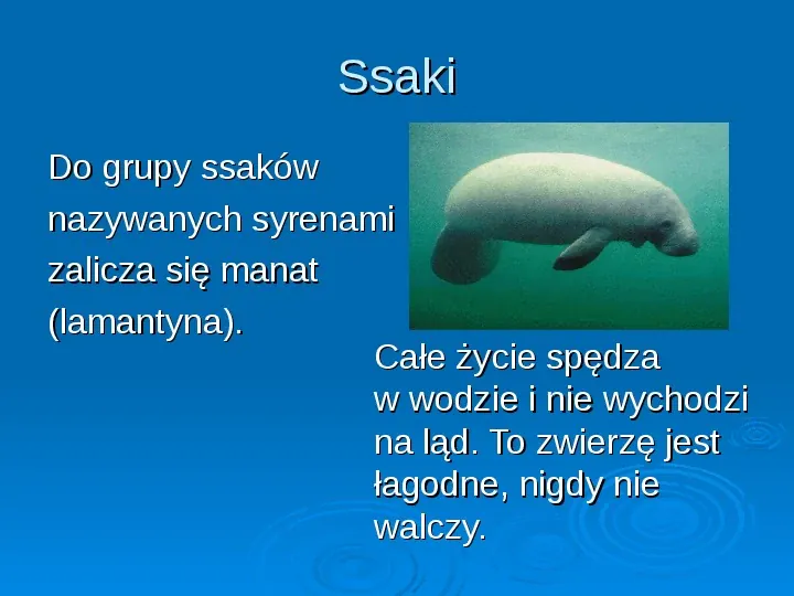 Wodny świat zwierząt - Slide 29