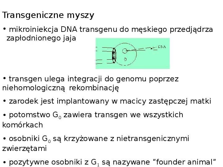 Technologia transgeniczna - Slide 11