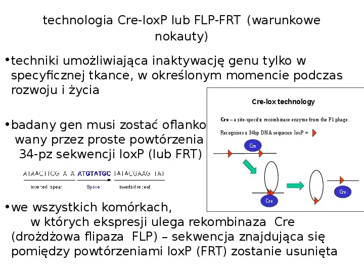 Technologia transgeniczna - Slide 26
