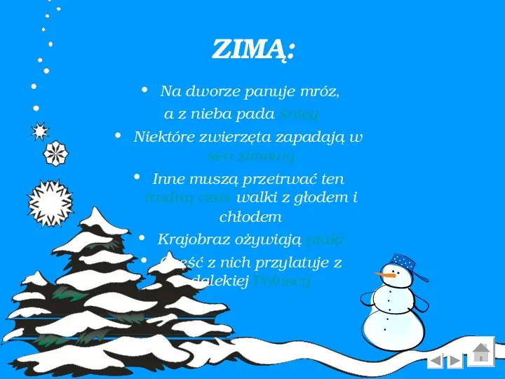 Zima - Slide 4
