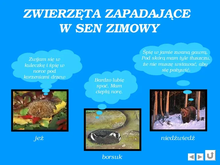 Zima - Slide 7