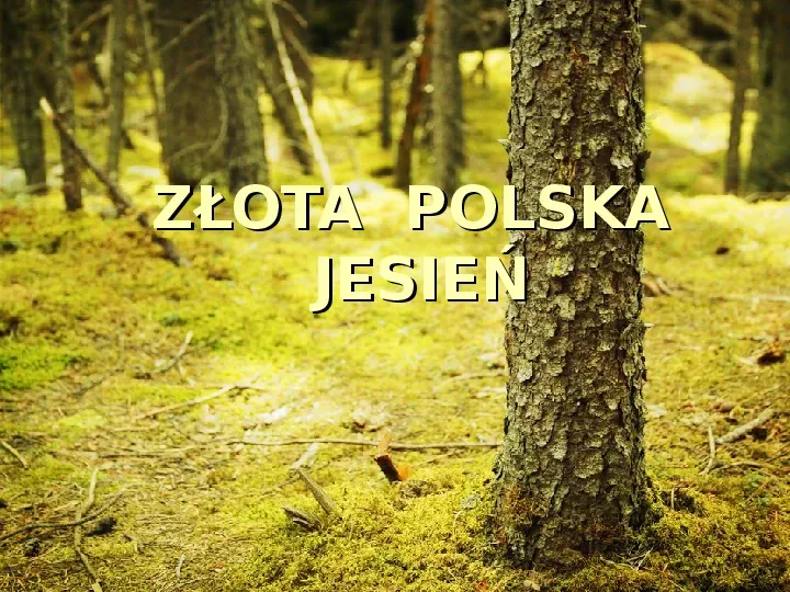 Złota polska jesień - Slide 1