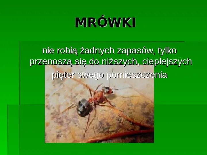 Złota polska jesień - Slide 12