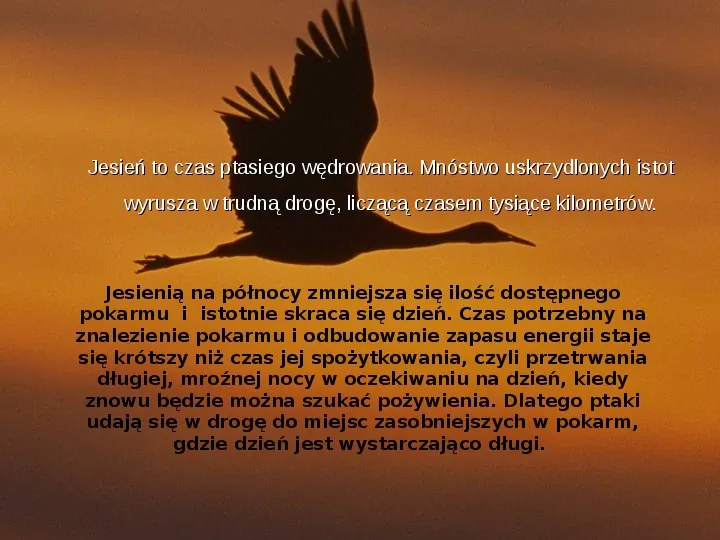 Złota polska jesień - Slide 14