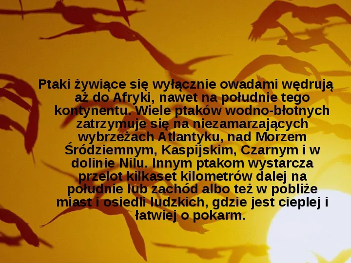 Złota polska jesień - Slide 15