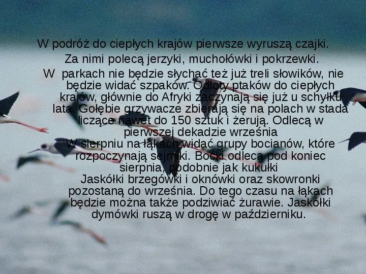 Złota polska jesień - Slide 17